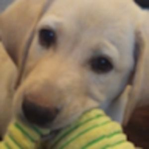 Meet your Posher, Katelyn